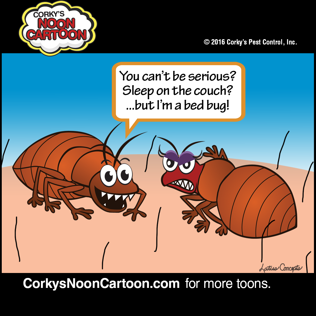 Bed Bug Cartoons | Corky's Pest Control Services | San Diego Pest Control Bed Bug Cartoons | Corky's Pest Control Services | San Diego Pest Control