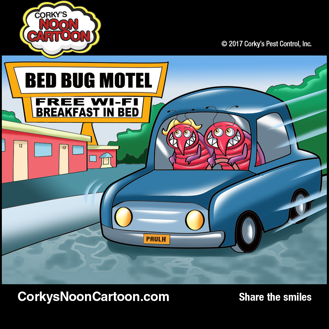 Bed clearance bug bumper