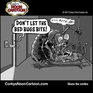 Bedbugs00008