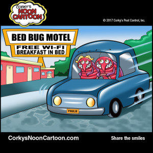 Bedbugs00010