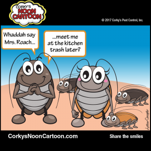 Cockroaches00003