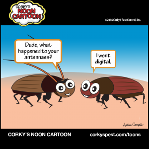 Cockroaches00005