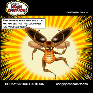 Cockroaches00006
