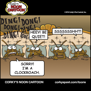 Cockroaches00007