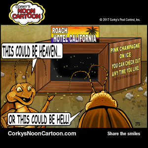 Cockroaches00008