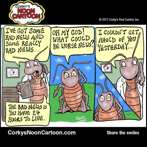 Cockroaches00009