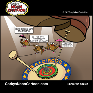 Fleas00004