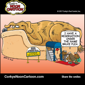 Fleas00006
