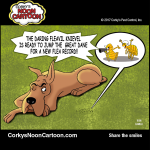 Fleas00007