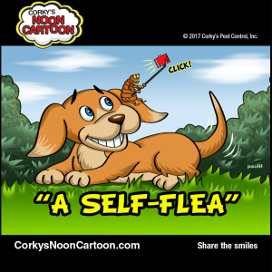Fleas00008