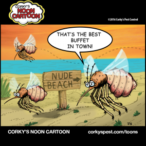 Mosquitoes00009