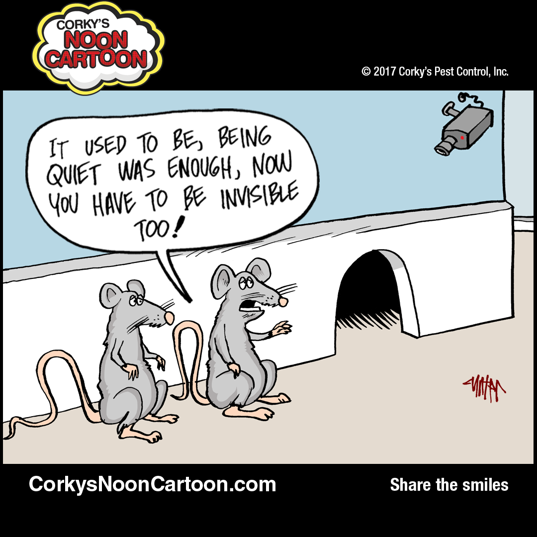 Rat Cartoons Corky s Pest Control Services San Diego Pest Control rat-cartoons-corky-s-pest-control-services-san-diego-pest-control