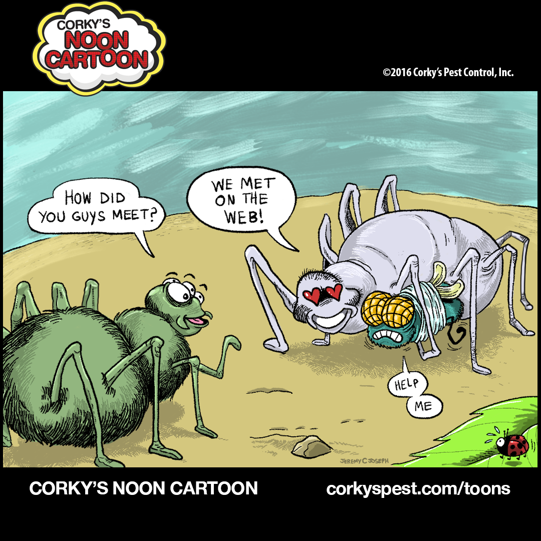 https://www.corkyspest.com/wp-content/gallery/spiders-cartoons/Spiders00004.png