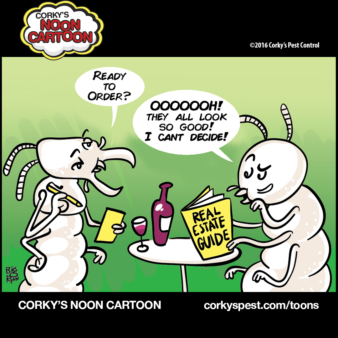 Termite Cartoons Corky S Pest Control Services San Diego Pest Control