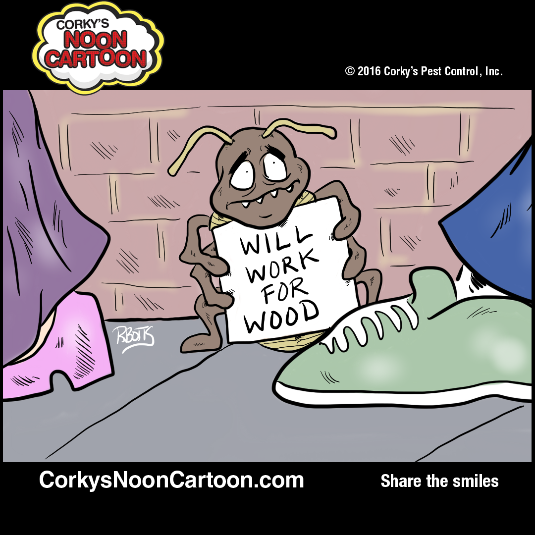 Termite Cartoons Corky S Pest Control Services San Diego Pest Control