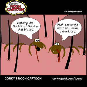 Ticks00002-1