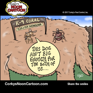 Ticks00004-1