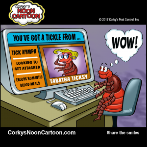 Ticks00005-1