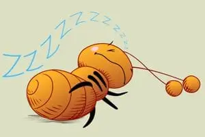 Cartoon ant sleeping with Z letters floating above its head indicating sleep