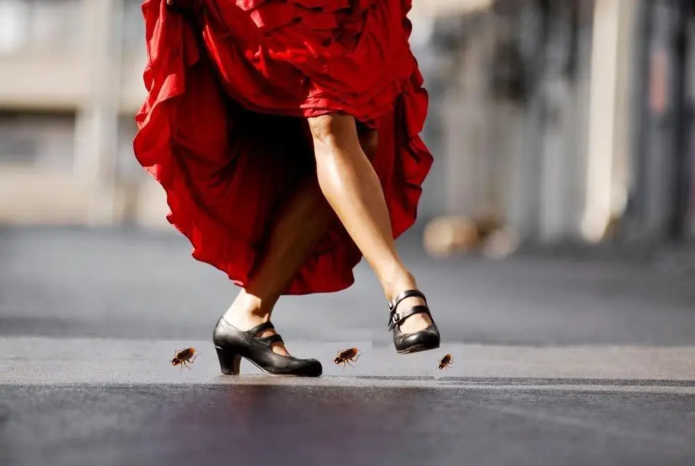 Person in red dress and black heels stepping on roaches on a gray street