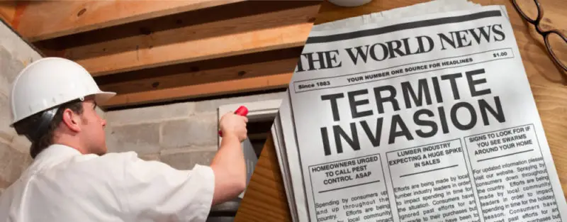 Inspector in hard hat examines wooden beam with newspaper headline about termite invasion in background