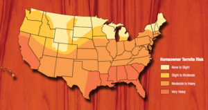 termite-risk-map