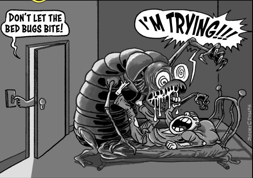 Bed Bugs:  Help!  Monsters Are Hiding Under The Bed and In It!