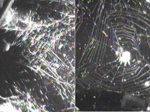 orb-weaver-webs-in-space