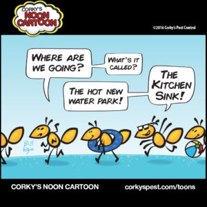 ants-and-kitchen-sink