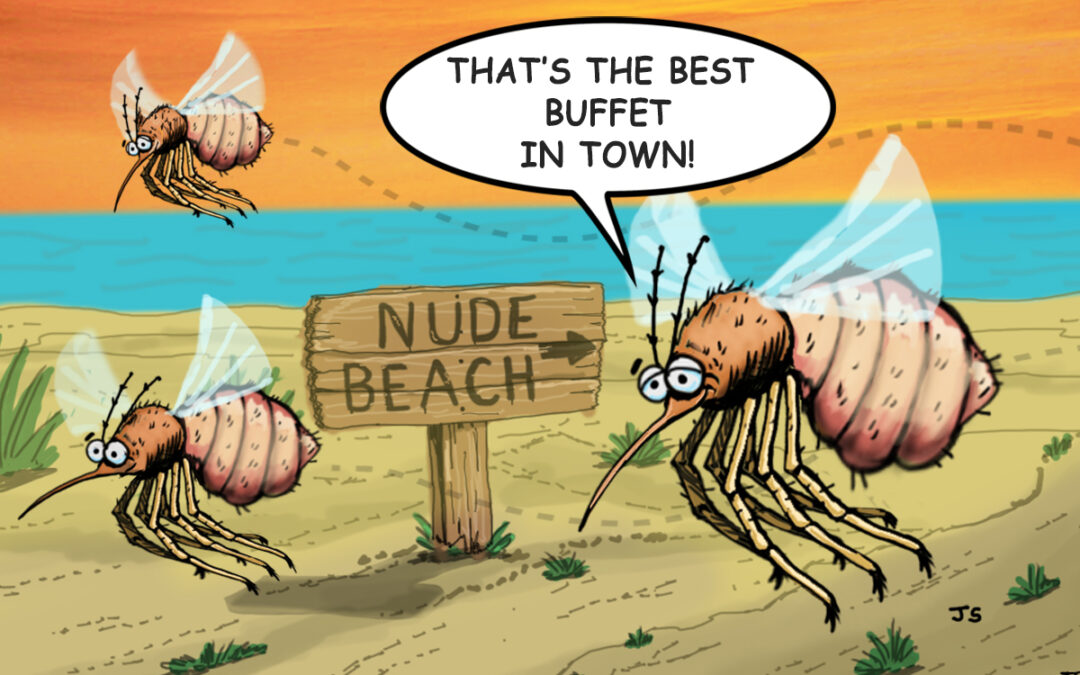 Beach Bugs, They’re a Real Summer Bummer!