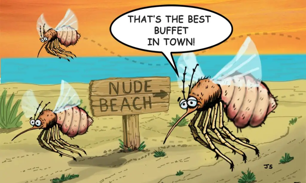 Cartoon mosquitoes at a nude beach sign, with one saying "That's the best buffet in town!"