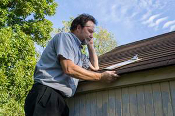 bat-inspection-san-diego bat-inspection-san-diego-img