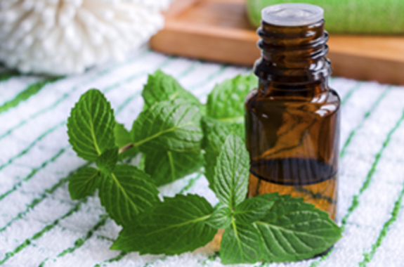 We offer some DIY solutions to control flies and prevent them from entering your home.
