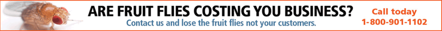 Are fruit flies costing you business? Call Corky's!