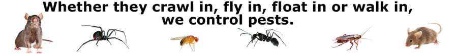 Corky's Commercial Pest Control Services