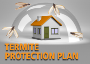 termite protection plan