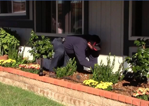 Corky's Escrow Terminate Inspection