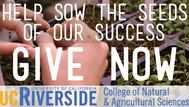 UCR – CNAS Dean’s Board of Advisors