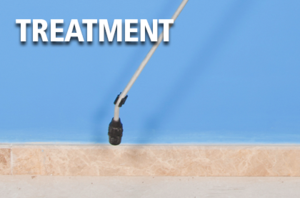Corky's Bed Bug Treatment