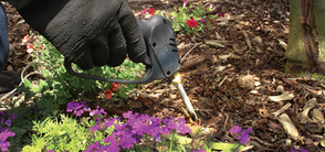 Search and Destroy Pests