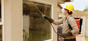 Structural Treatment