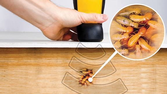 Corky's Termite Subterrannean Termite Treatment