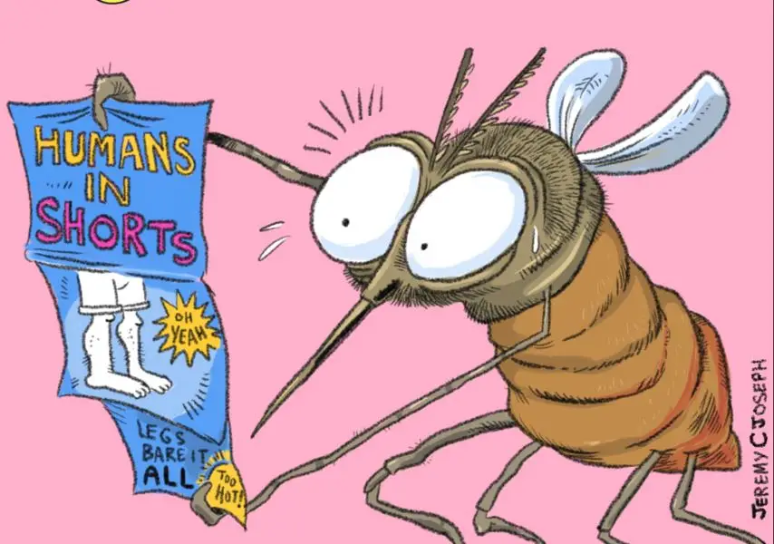 Cartoon mosquito excited about a magazine advertising bare human legs in shorts