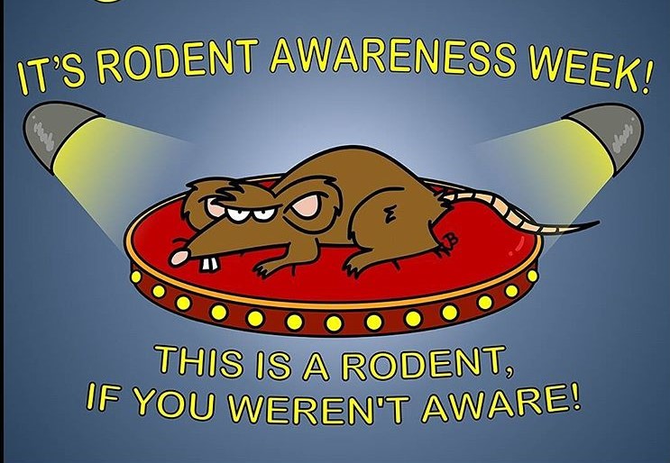 It’s Rodent “Beware-ness” week: “Batten Down the Hatches”!