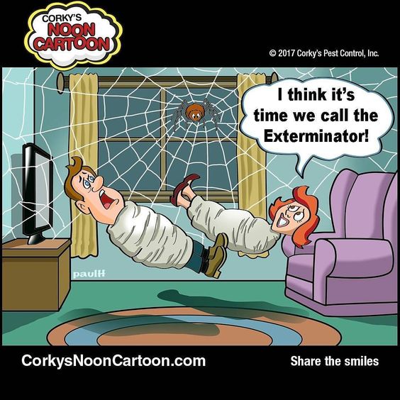 Spiders Spin a Web of Fear! - Corky's Pest Control Services & Termite