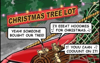 Christmas Crashers