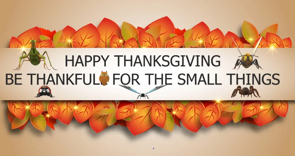 Thanksgiving banner with autumn leaves and insects encouraging gratitude for small things