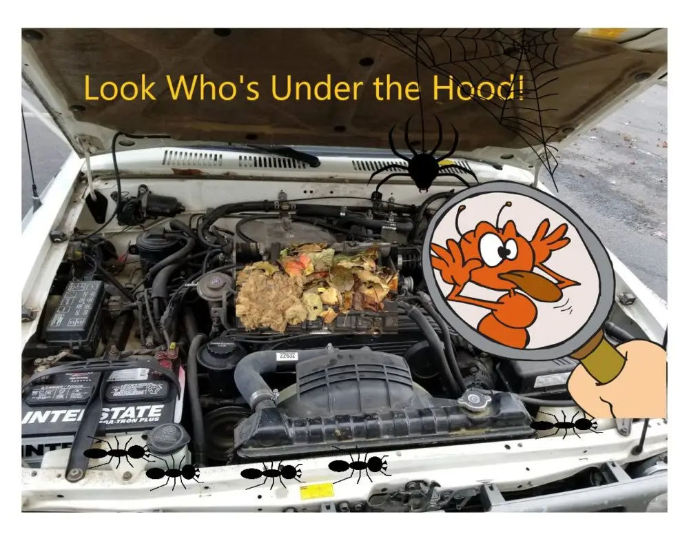 Car engine compartment infested with ants, humorously highlighted with a magnifying glass and cartoon ant illustration