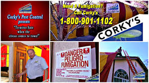corkys-fumigation-video-picture