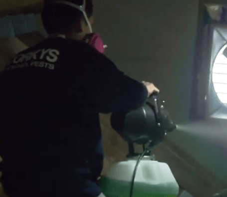 attic clean up 2